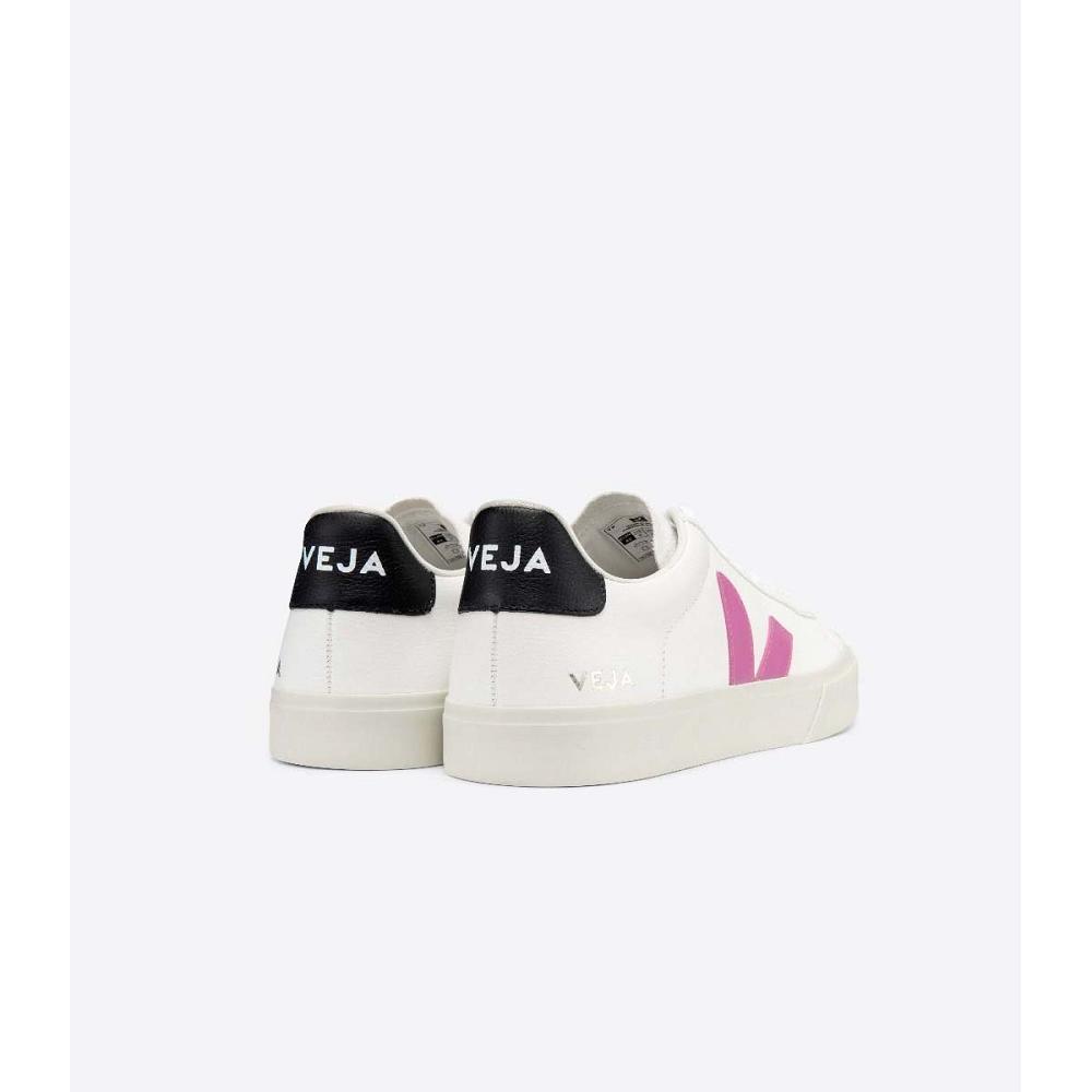 Veja CAMPO CHROMEFREE Women's Low Tops Sneakers White/Purple | CA 597FDN